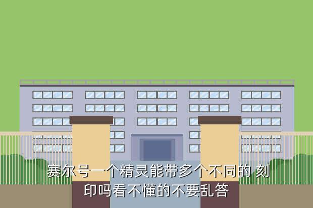 赛尔号一个精灵能带多个不同的 刻印吗看不懂的不要乱答