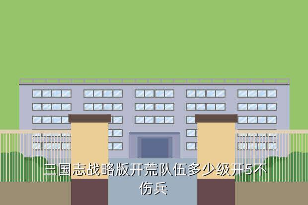 三国志战略版开荒队伍多少级开5不伤兵