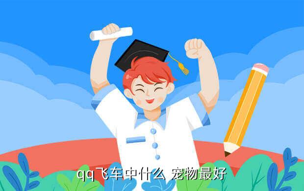 qq飞车中什么 宠物最好