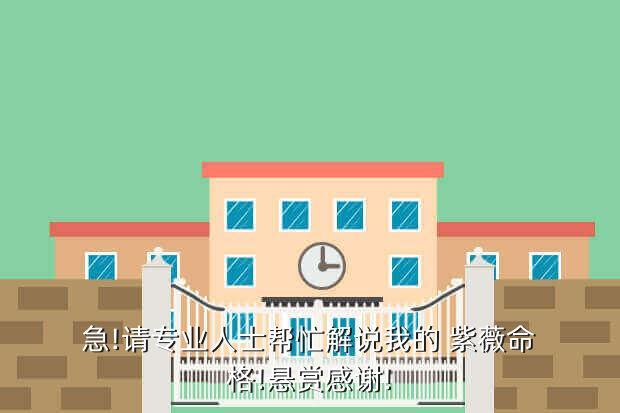 急!请专业人士帮忙解说我的 紫薇命格!悬赏感谢!