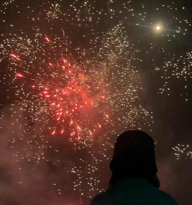 《探秘14技能林中鸟攻略》(揭秘游戏技巧,助你成为顶尖林中猎手)-第3张图片-游技攻略库 《探秘14技能林中鸟攻略》(揭秘游戏技巧,助你成为顶尖林中猎手)-第3张图片-游技攻略库