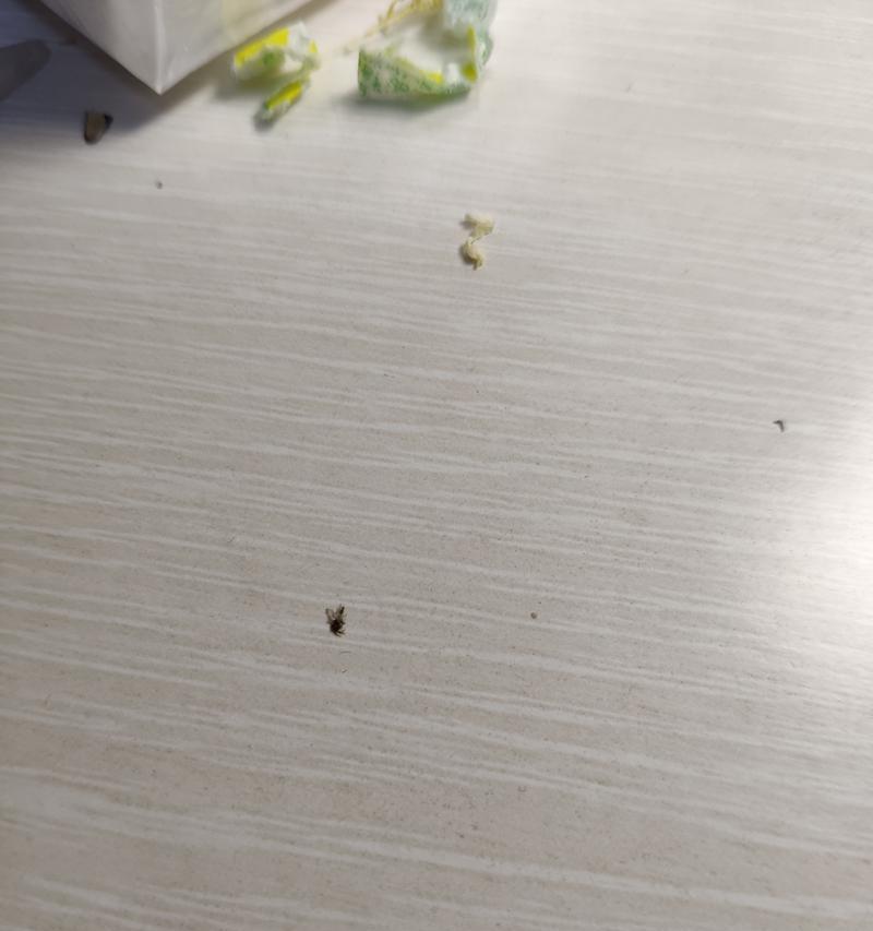 光遇中的打人巴掌怎么获得(如何实现打人巴掌动作?教你简单操作!)-第1张图片-游技攻略库 光遇中的打人巴掌怎么获得(如何实现打人巴掌动作?教你简单操作!)-第1张图片-游技攻略库