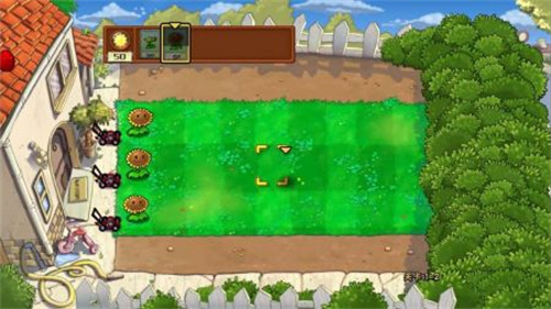 植物大战僵尸无名版正式版