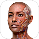 complete anatomy中文版下载_complete anatomy免费下载APP9.5.0