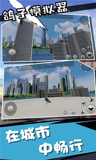 鸽子模拟器正版下载安装-鸽子模拟器免费中文正版v4.0.0