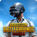 pubg兼容版官方下载安装-pubg兼容版2024最新版v3.4.0