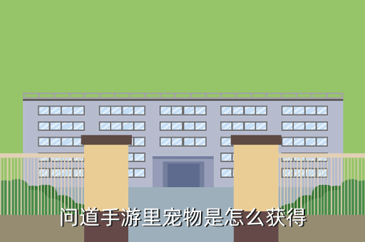 问道手游里宠物是怎么获得