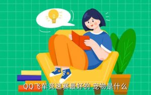 完美漂移什么宠物,天龙八部宠物完美有什么用