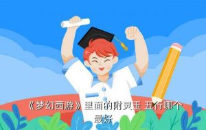 法宝五行什么最好,梦幻西游法宝五行有什么用
