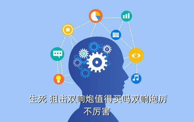  生死 狙击双响炮值得买吗双响炮厉不厉害