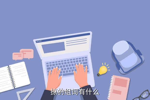 掠的组词有什么