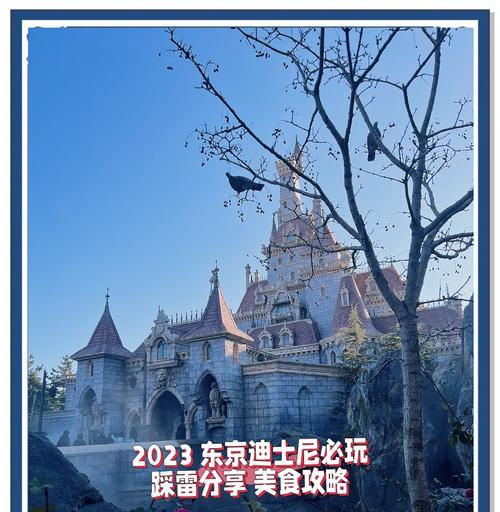 《征服迪士尼世界的最强攻略手游》（深入探索迪士尼主题公园的秘密，尽情享受最独特的冒险之旅！）-第3张图片-游技攻略库