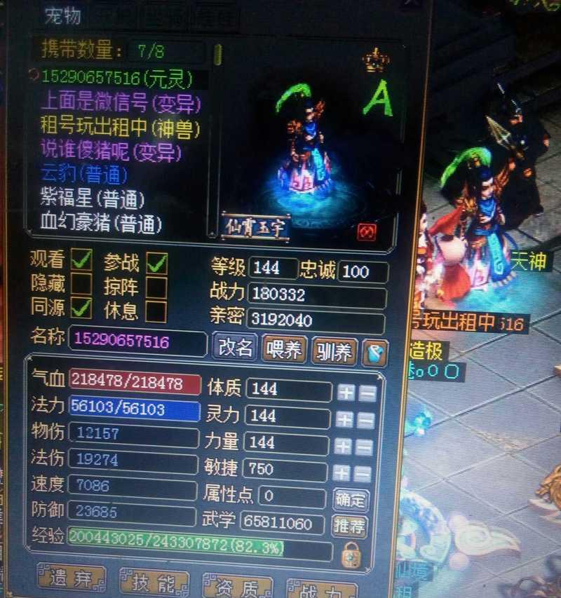 问道手游攻略（如何在问道手游中快速提升等级，实现游戏目标）-第2张图片-游技攻略库