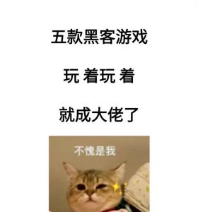 手游黑客游戏攻略