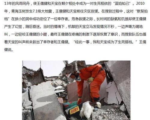 明日之后忠犬出装攻略（解锁狗狗潜能，打造无敌作战团队）-第1张图片-游技攻略库