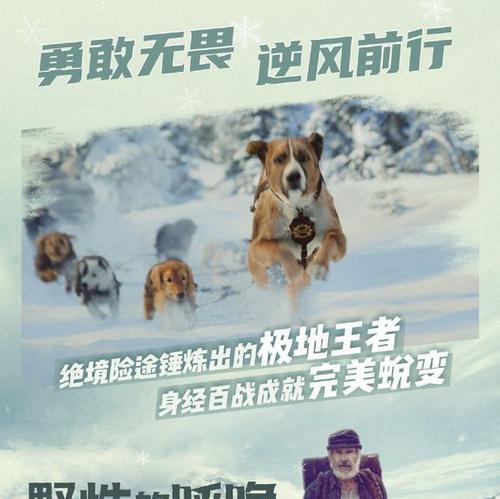 驯龙高手（瞭解阵容搭配与装备选择，成为驯龙高手的首选指南）-第2张图片-游技攻略库