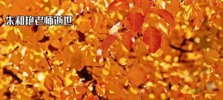 朱老师新英雄出装攻略（打造新英雄绝对优势！朱老师为你详解出装心得，让你成为无敌战士）-第1张图片-游技攻略库