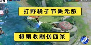 王者橘子新手出装攻略