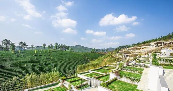 十年清风龙脉攻略（揭秘修炼清风龙脉的关键步骤与技巧）-第2张图片-游技攻略库