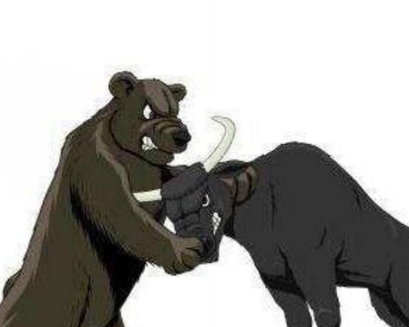 熊市中的投资手游攻略（如何在熊市中寻找投资机会，手游攻略带你一路逆袭）-第3张图片-游技攻略库