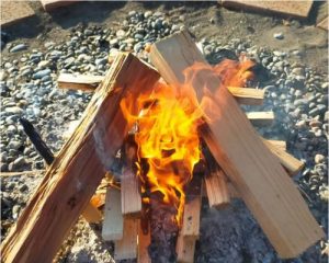 以森林之子生火方法攻略