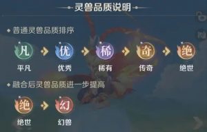 灵兽大冒险宠物怎么选择 灵兽大冒险宠物培养攻略