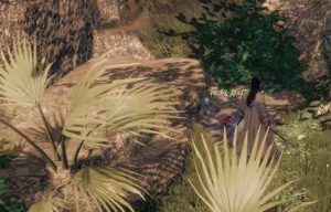 下一站江湖2花安在哪 花安位置坐标详情