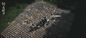 燕云十六声种植玩法怎么玩 燕云种田玩法介绍