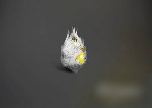 七日世界上界之卵有什么效果 上界之卵技能介绍