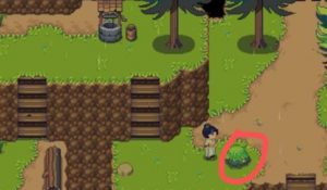 江城创业记野琴花在哪里 野琴花采集位置详细介绍