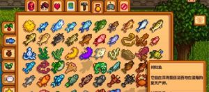 星露谷物语绯红鱼在哪里钓 夏季绯红鱼钓点位置