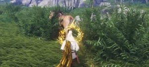 燕云十六声秦马怎么抓 秦马驯服方法详解