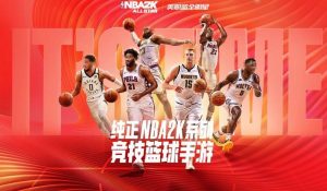 美职篮全明星哪个球员盖帽强 强力盖帽角色推荐