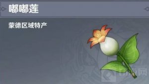 原神嘟嘟莲地图位置在哪里 嘟嘟莲地图位置说明