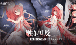 光隙解语新手阵容怎么搭配 新手阵容搭配指南