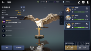 黑色沙漠手游领路鹰怎么获取 棕色领路鹰获取攻略