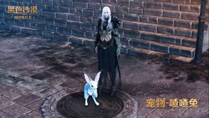 黑色沙漠手游喳喳兔怎么获得 喳喳兔获得方法介绍