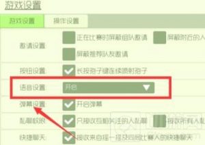 球球大作战怎么关闭语音 关闭语音方法分享