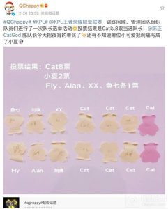 王者荣耀Cat高票当选QG队长 粉丝看字识人