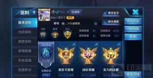 王者荣耀王者大神教你玩诸葛亮 铭文及出装