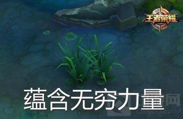 王者荣耀取胜套路教学 心塞套路坑死你的对手